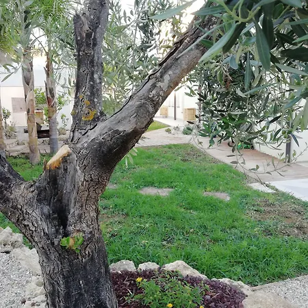 B&B Villa Kairos-3